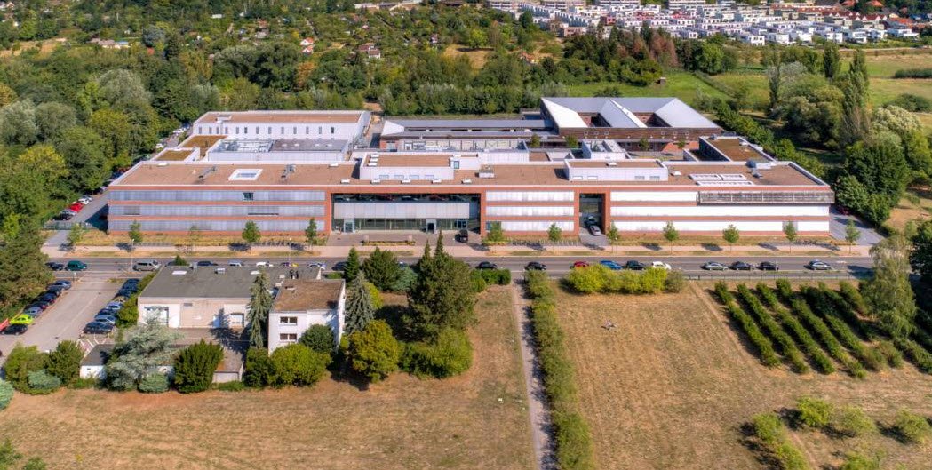 Heil- und Giftpflanzengarten der Tierärztlichen Hochschule Hannover, Hanover, Germany, Germany